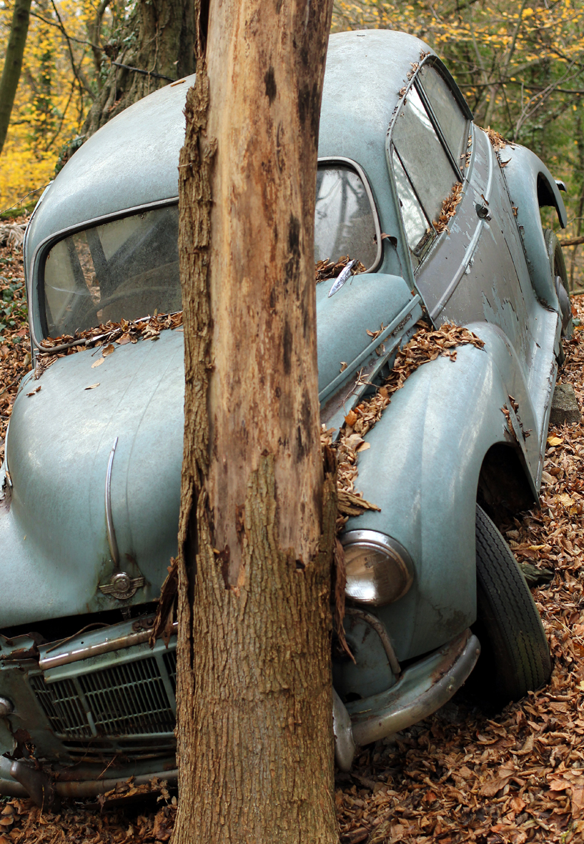 Urbex Auto_Baum_150dpi.jpg